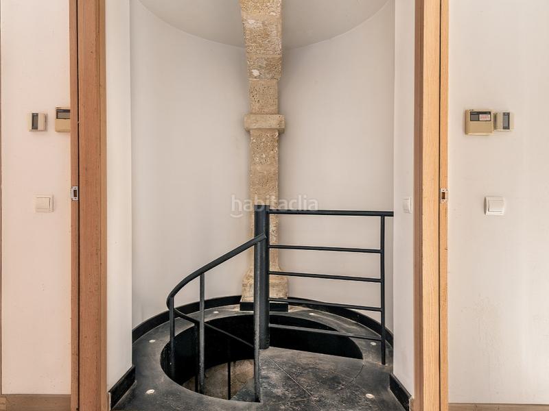 Foto 7e73132d-3ce1-4592-a399-1802cef4bf79. Piccolo appartamento in La Calatrava Palma de Mallorca