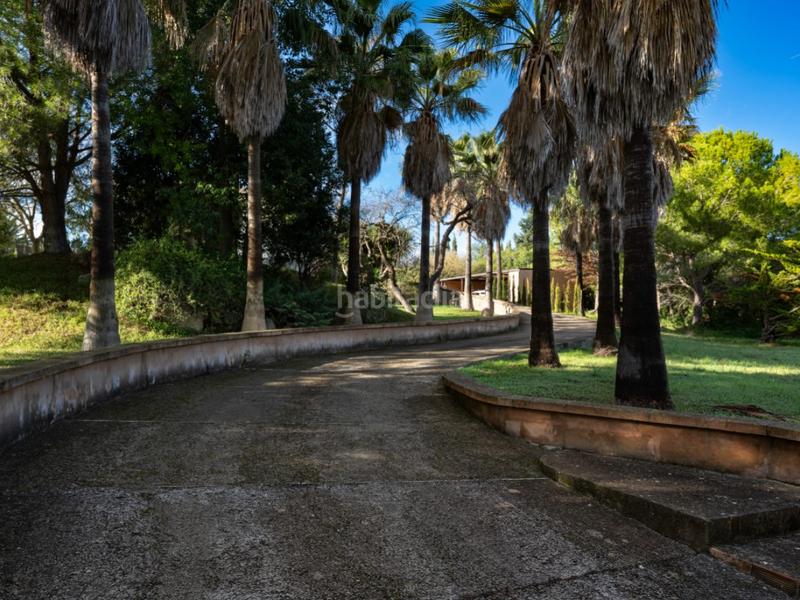 Foto 7089db73-5b39-4225-aa11-1c4221b62600. Masia amb calefacció piscina a Establiments Palma de Mallorca