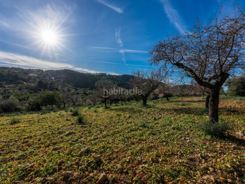 Foto f9d2c788-9956-495a-a555-0be75aa10fd7. Casale in Alaró