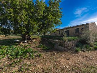 Masia a Alaró. Sensacional proyecto de casa de campo en un lugar idílico cerca