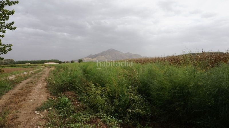 Foto 0647e8cc-92a6-42d7-bfee-ab14e05a5d8f. Finca rústica a Pinos Puente