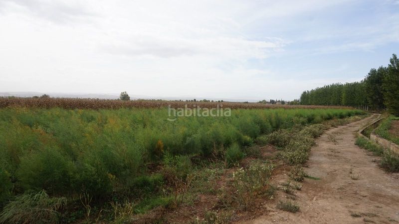 Foto 070b8385-8fe4-4f45-bd5a-1a0319bca660. Finca rústica a Pinos Puente