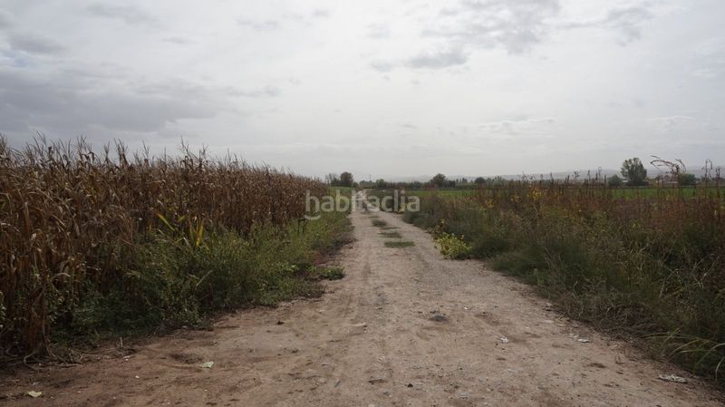 Foto 0e472b54-fdaf-4993-b7a4-98b3c984db7b. Finca rústica a Pinos Puente