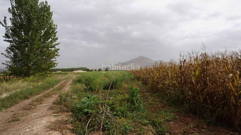 Foto 3c414daa-0e8a-4b32-bdda-605445b21b98. Finca rústica a Pinos Puente