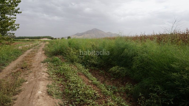 Foto 71b3f16b-d9cd-4ade-837d-e549e7388fb3. Finca rústica a Pinos Puente