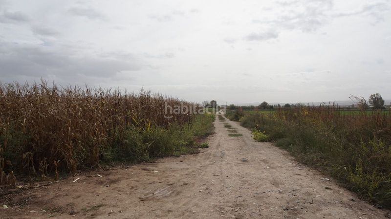 Foto 7544120f-8b24-4069-9c3e-a2d0119b7ff1. Finca rústica a Pinos Puente