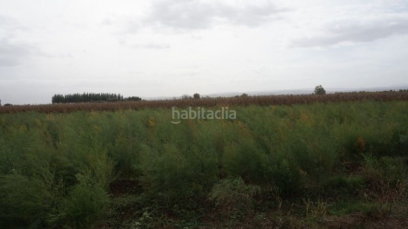 Foto 7b0f567a-76ed-4a73-90cc-33b690ab3548. Finca rústica a Pinos Puente