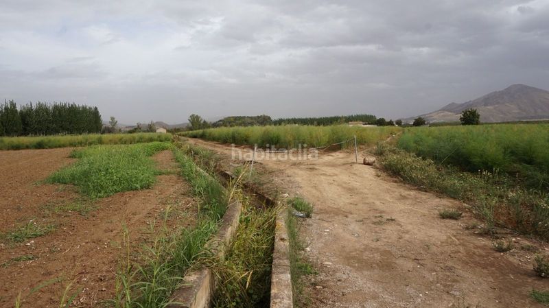 Foto 83e78aa4-7e48-4713-ba06-cece348a83c1. Finca rústica a Pinos Puente
