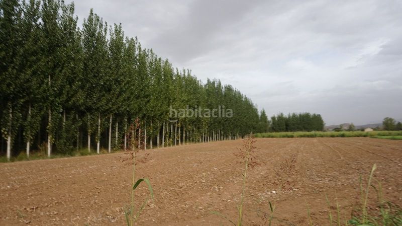 Foto aeaf81a8-6648-45f6-93b2-0e8b3c2f1a21. Finca rústica a Pinos Puente