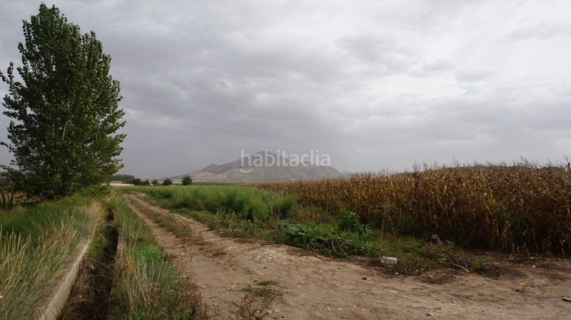 Foto d3346222-a319-49d9-8b72-028e9ff9438c. Finca rústica a Pinos Puente