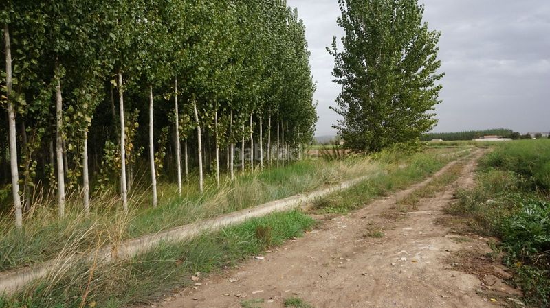 Foto d73a2d6e-731b-4cc4-afdb-c66c9e43fa38. Finca rústica a Pinos Puente