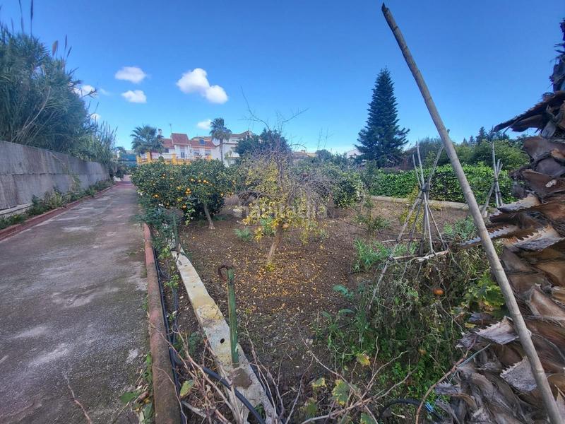 Foto 2ab7681b-d0b9-4e4b-8620-5b96c06dc46f. Casa chalet independiente , málaga en Centro Alhaurín de la Torre