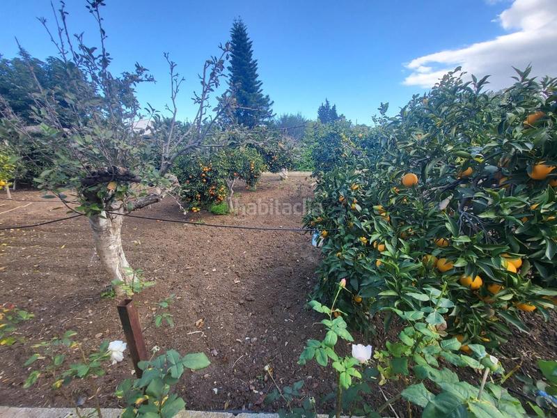 Foto 95dcc7c5-4623-4c74-964c-8611f63e9d23. Casa chalet independiente , málaga en Centro Alhaurín de la Torre