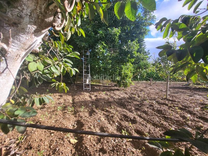 Foto b02342d3-7c6a-46e9-a61a-270c7be3c77b. Casa chalet independiente , málaga en Centro Alhaurín de la Torre