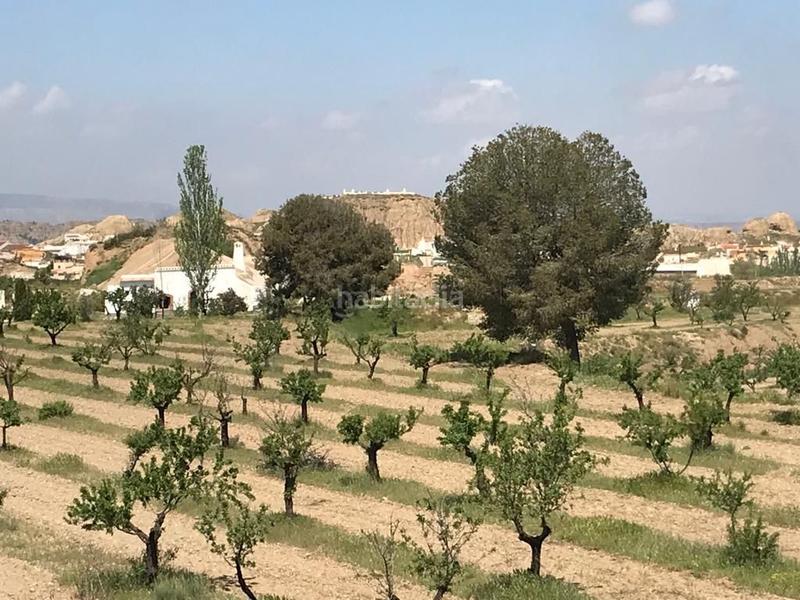 Foto c7503d00-7760-4aab-8858-93162c6315af. Finca rústica a Guadix