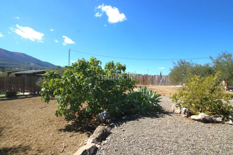 Foto 8df10d8d-b2a9-480f-b158-a10c439cd458. Wohngrundstück in Centro Alhaurín el Grande