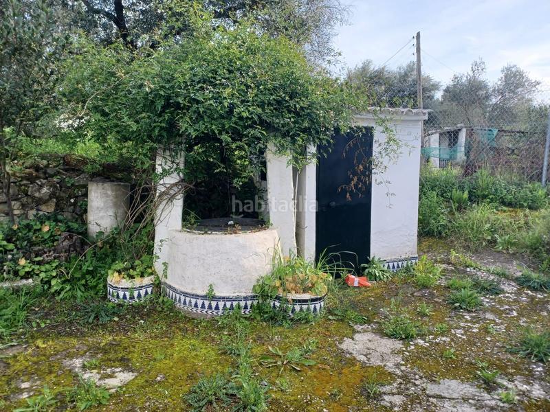 Foto 15ce409a-bacd-4c06-8d92-a17b7774b50f. Mas dans Castilblanco de los Arroyos