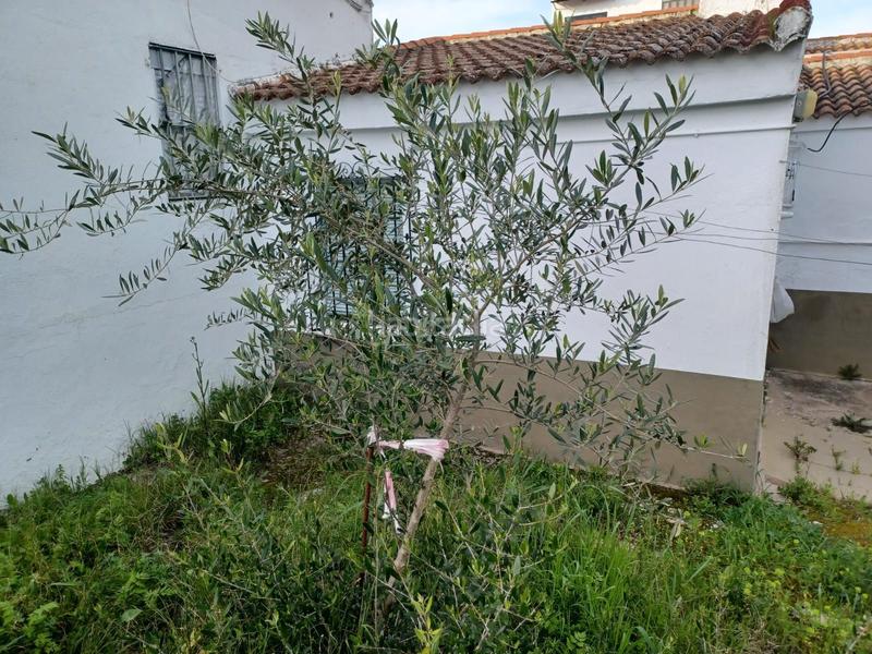 Foto e95dd931-024a-4e86-80e9-a05cef7d9310. Mas dans Castilblanco de los Arroyos