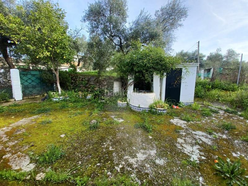 Foto f0dd7a97-67ff-435d-980c-a49dceab3524. Mas dans Castilblanco de los Arroyos