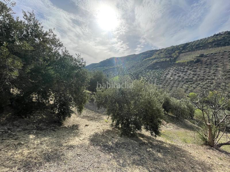 Foto 00847d83-9bed-4b7b-b5f4-99b109446da2. Finca rústica  , granada. en Algarinejo