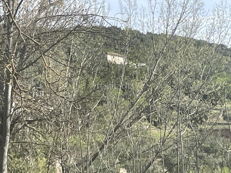 Foto 4228fe81-9fd5-446a-81c0-3737695d7fd6. Finca rústica  , granada. en Algarinejo