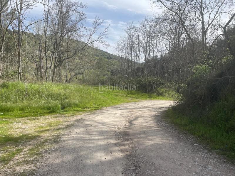 Foto 6c420ad0-0f41-40f2-9f9c-7e549af7a9f4. Finca rústica  , granada. en Algarinejo