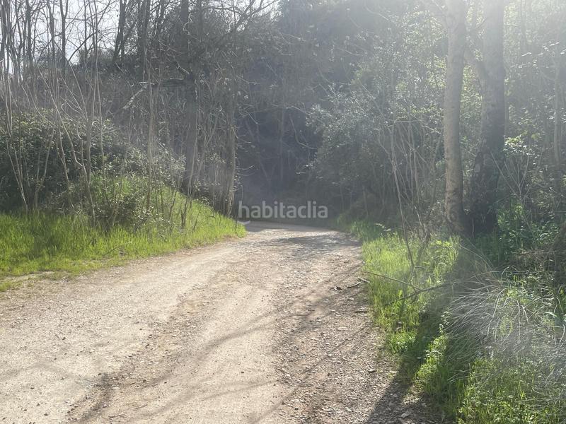 Foto 70052baa-b2d2-40b0-81da-965469c71e37. Finca rústica  , granada. en Algarinejo