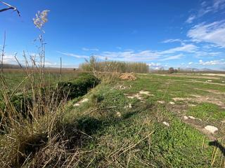 Propriété à Santa Fe. Finca rústica de labor junto a río genil, granada
