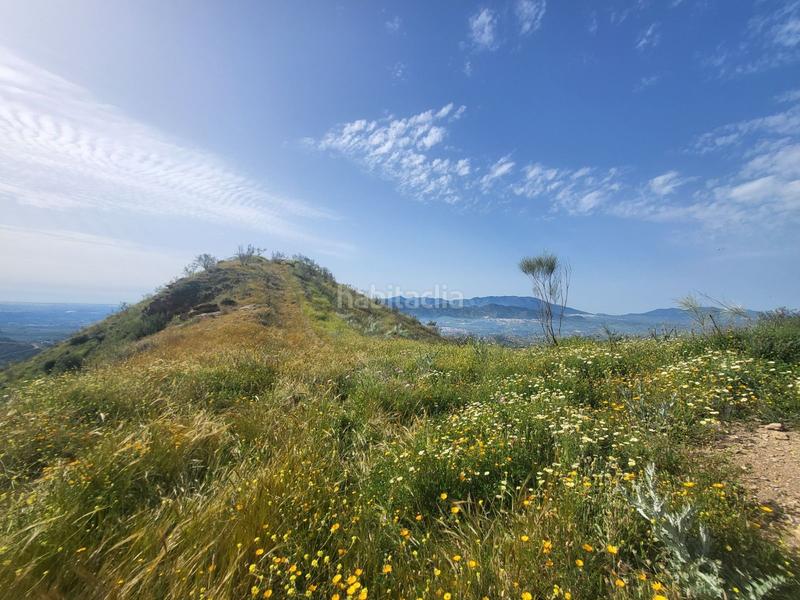 Foto 0e73f932-b11b-403e-bf0d-3b297a9c443f. Fondo rustico in Cártama