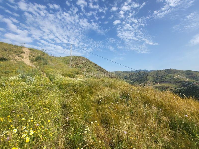 Foto 1ec76b4a-e1fb-4f98-bccc-59f978ddb0e6. Fondo rustico in Cártama