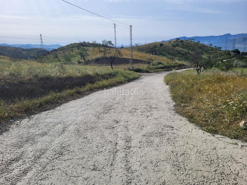 Foto 40d1ddce-f2a4-4ae4-8897-83b26a2186cf. Fondo rustico in Cártama