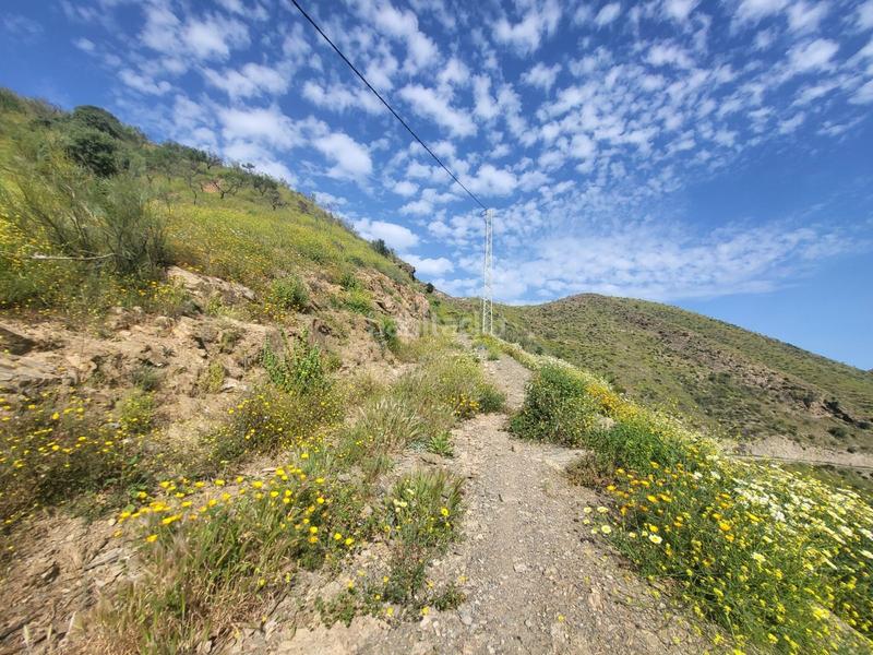 Foto 456e9a48-b543-496f-bb82-133a18e5988b. Fondo rustico in Cártama