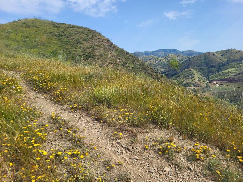 Foto 4dac6edc-d254-495d-8c17-59cbce2fdb97. Fondo rustico in Cártama