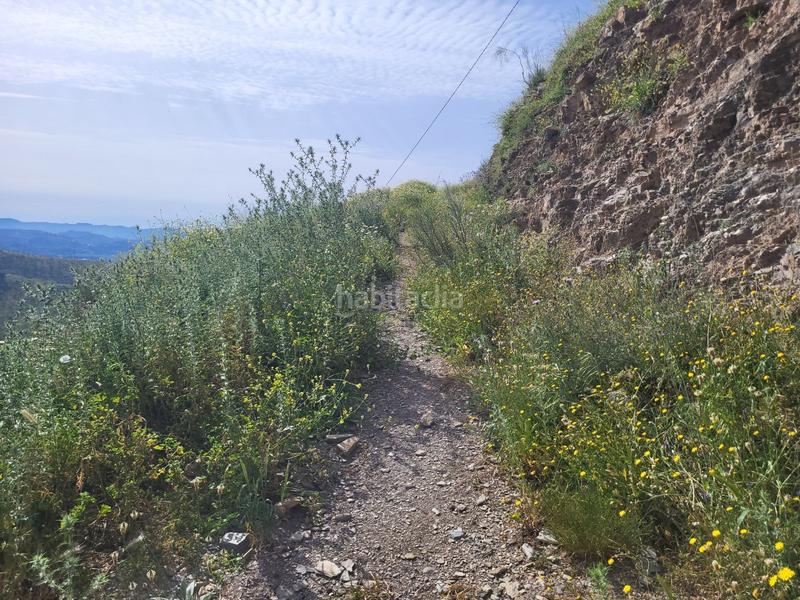 Foto 7c6f5f09-723e-4e96-a356-5ca828c00e5a. Fondo rustico in Cártama