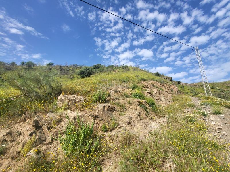 Foto 9694a0c7-de35-45f4-9d5c-f200e31671e9. Fondo rustico in Cártama