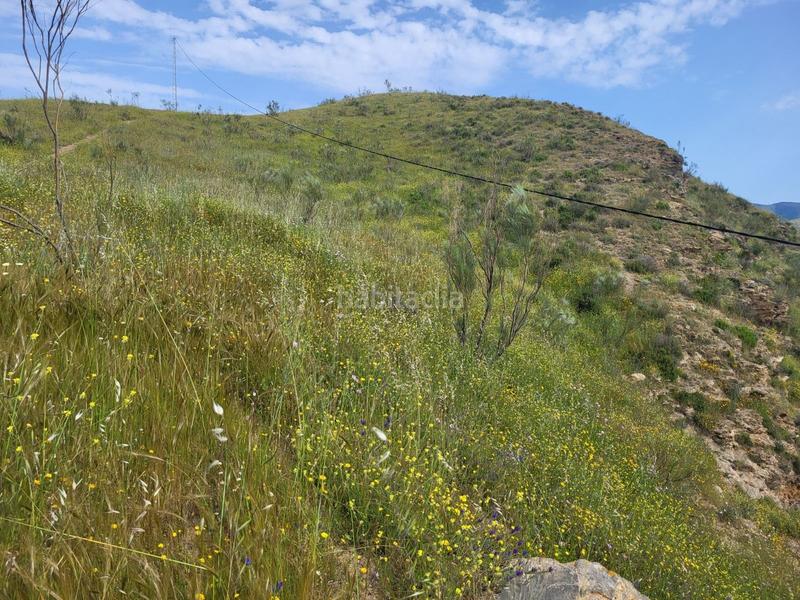 Foto 9844fc6b-9bd1-4ab3-a3c4-575e1aa8bd81. Fondo rustico in Cártama