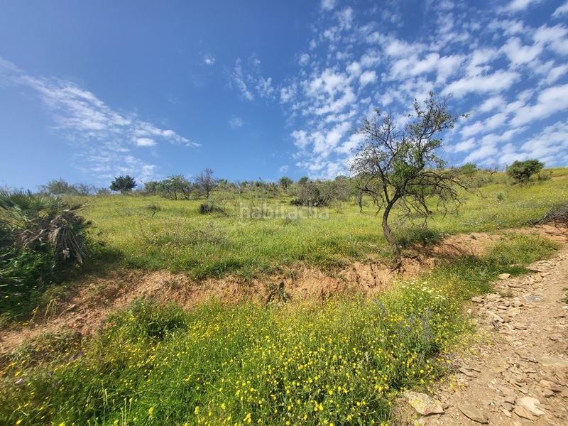 Foto ad52bc2e-affa-4ec6-9557-0b58871ed492. Fondo rustico in Cártama