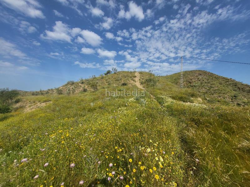 Foto c341054d-63d8-4b31-93e8-037a3db43122. Fondo rustico in Cártama