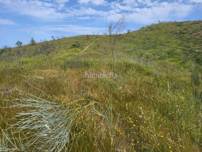 Foto d118c1ce-0b69-4981-aac1-cc121d4f592a. Fondo rustico in Cártama