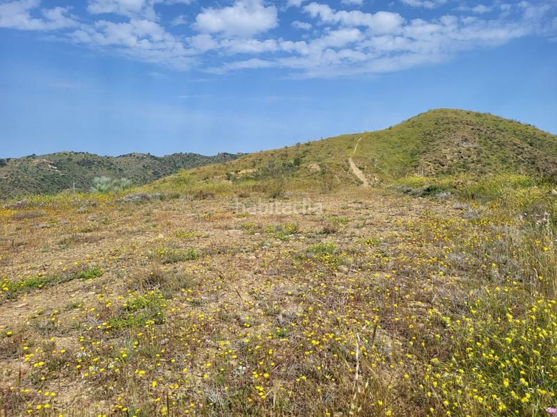 Foto e30e7e7b-0545-4134-98df-d3c57eae4f2f. Fondo rustico in Cártama