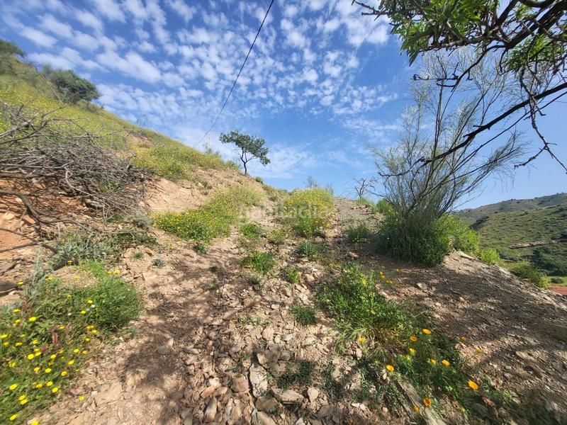 Foto ea9b6726-77c8-440e-b548-9de107ae83b9. Fondo rustico in Cártama