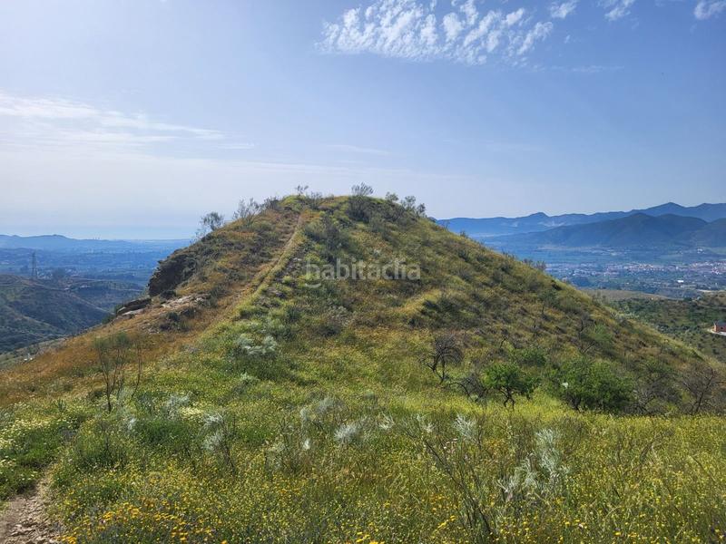 Foto ebdb748a-b41c-4b0c-96a1-f2a82c8116c0. Fondo rustico in Cártama