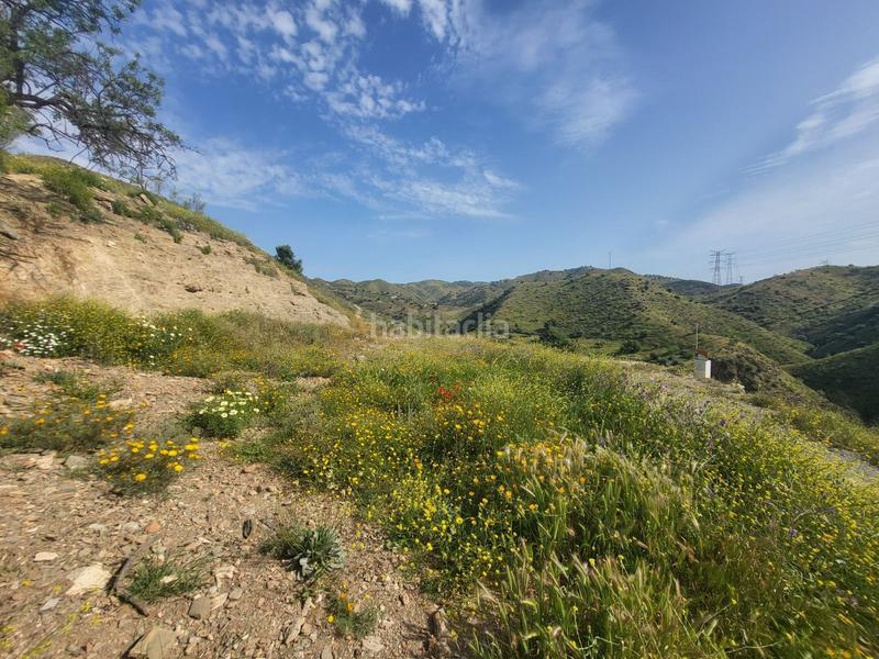 Foto fbe7c7f9-4a99-49f1-b658-797ba74b4a4b. Fondo rustico in Cártama