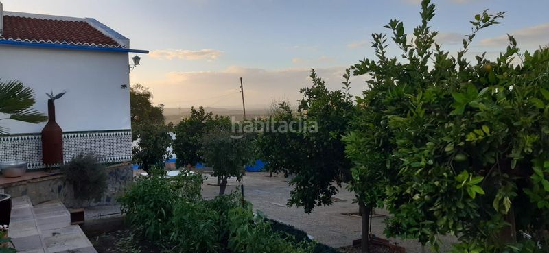 Foto 6237d711-56d9-49f5-ba85-c7cda3b7bc96. Casa a Castilblanco de los Arroyos