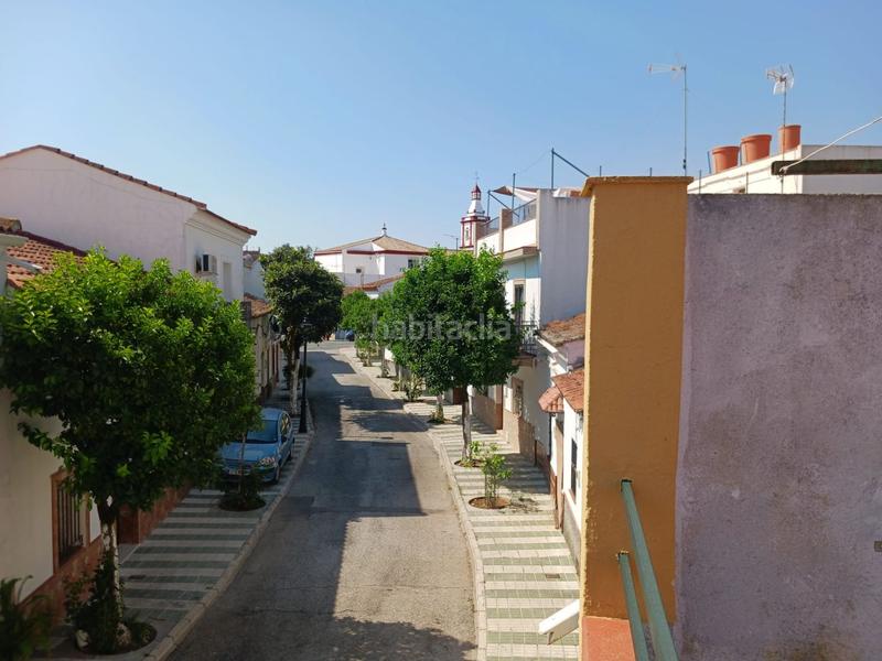 Foto 6cc8501d-c8d6-453e-bded-ef5e2ce75796. Mas dans Ronquillo (El)