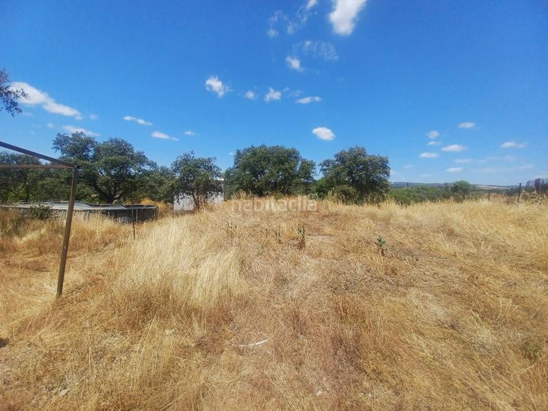 Foto 12ba98a9-7998-44d7-8108-63ad71ca8c5a. Casa amb piscina a Castilblanco de los Arroyos