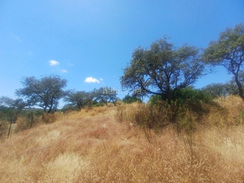 Foto 7bb0de0c-4e2d-474b-ae72-f9b7e2ceeffb. Casa amb piscina a Castilblanco de los Arroyos