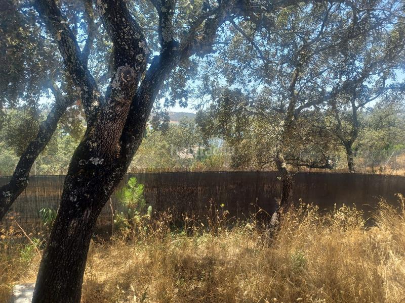 Foto f1abae42-f0c6-4ff6-abfe-f871b909f89d. Casa amb piscina a Castilblanco de los Arroyos