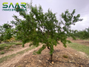 Ampliar foto f1e28be6-3477-47c0-9432-9347a7448fe0.jpg