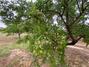 Ampliar foto f8bfb6f8-b4f0-41f8-87fb-dd7bd73a5534.jpg